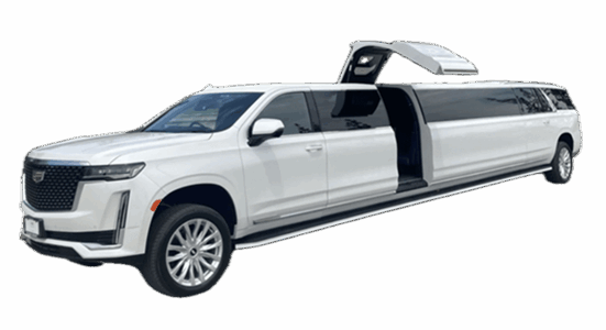 STRETCH ESCALADE